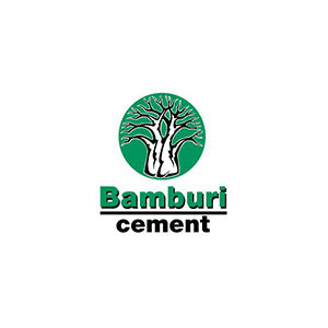 Bamburi-Cement-300x300